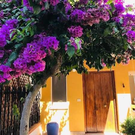 Bed and Breakfast Le Stanze Di Botticelli Termoli Zewnętrze zdjęcie