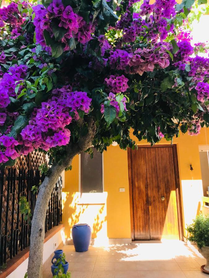 Bed and Breakfast Le Stanze Di Botticelli Termoli Zewnętrze zdjęcie